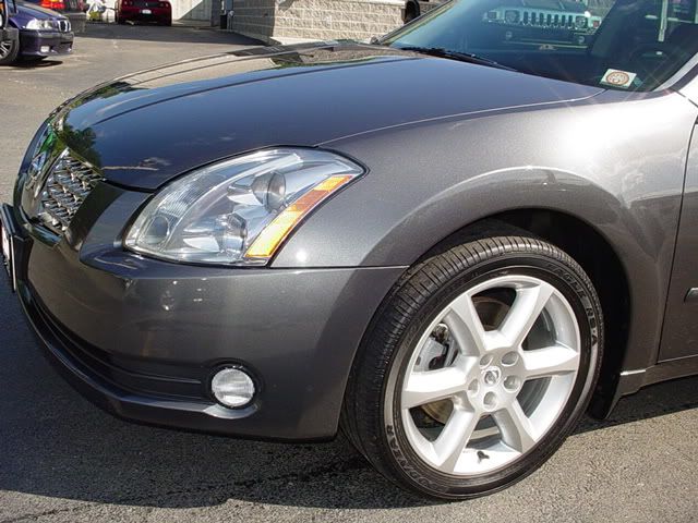 Maxima005.jpg