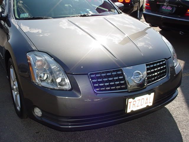 Maxima007.jpg
