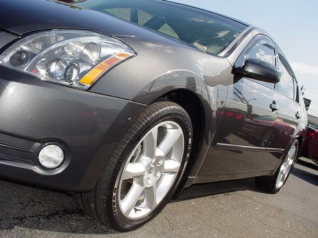 Maxima008.jpg