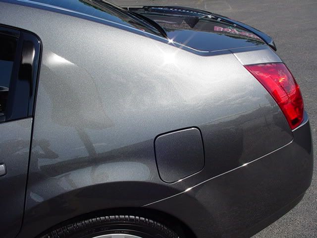 Maxima010.jpg