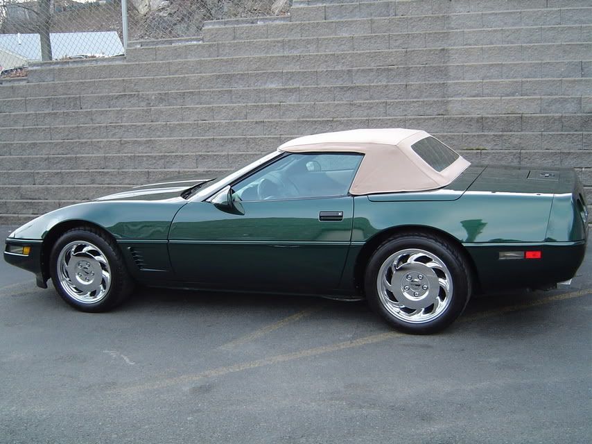 f20954c9.jpg