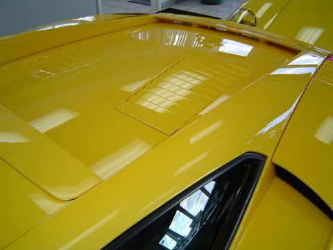 ff367b95.jpg