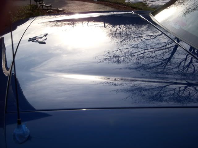 77f679c2.jpg