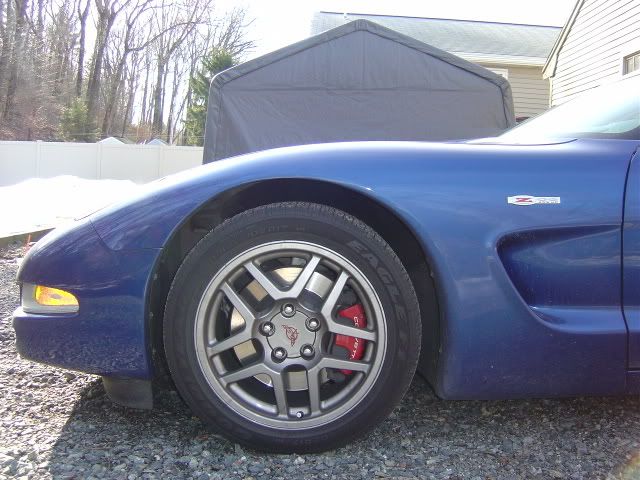 7959f80e.jpg