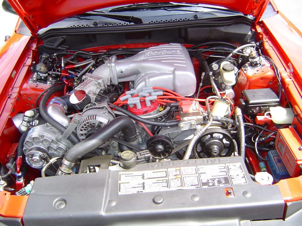 Porsche911-BradsCobra017.jpg
