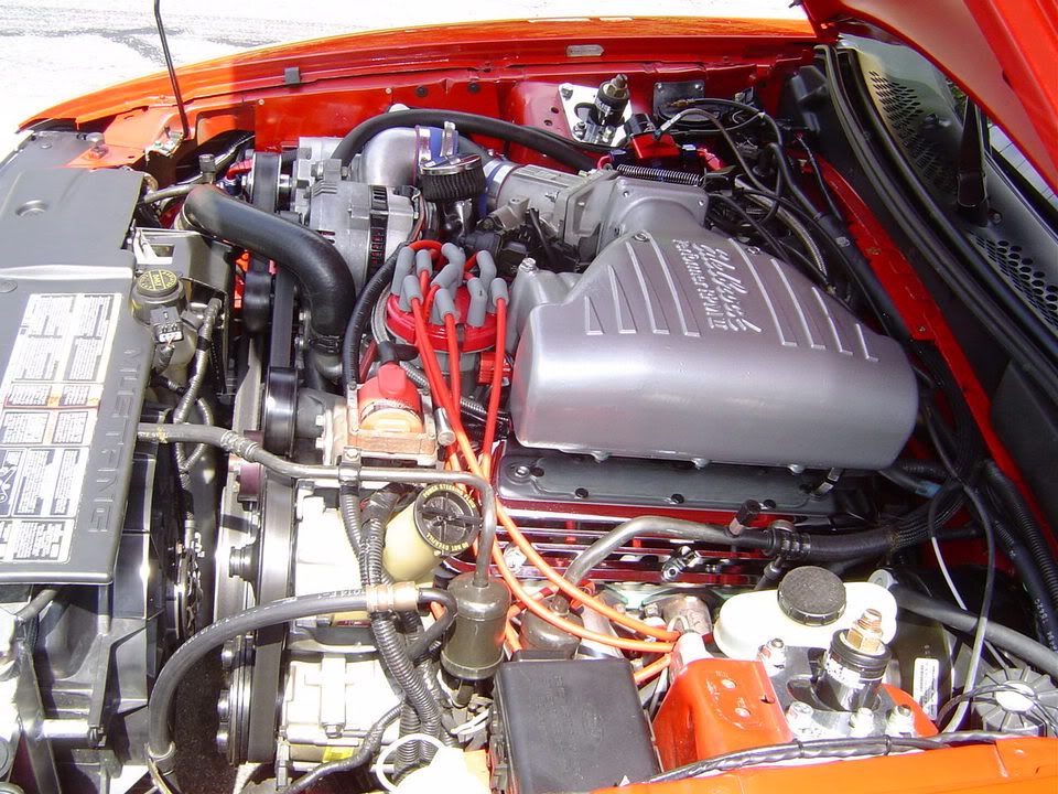 Porsche911-BradsCobra018.jpg