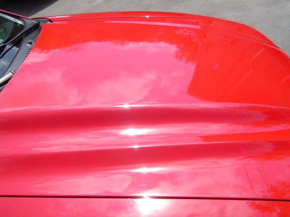 Porsche911-BradsCobra030.jpg