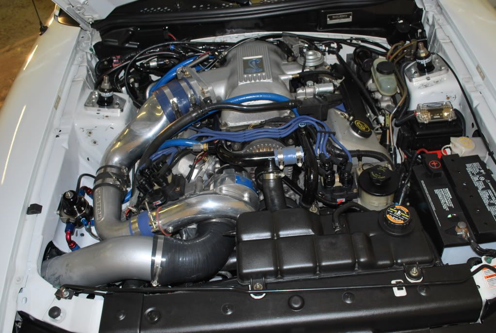 WhiteMustangSaleen104.jpg