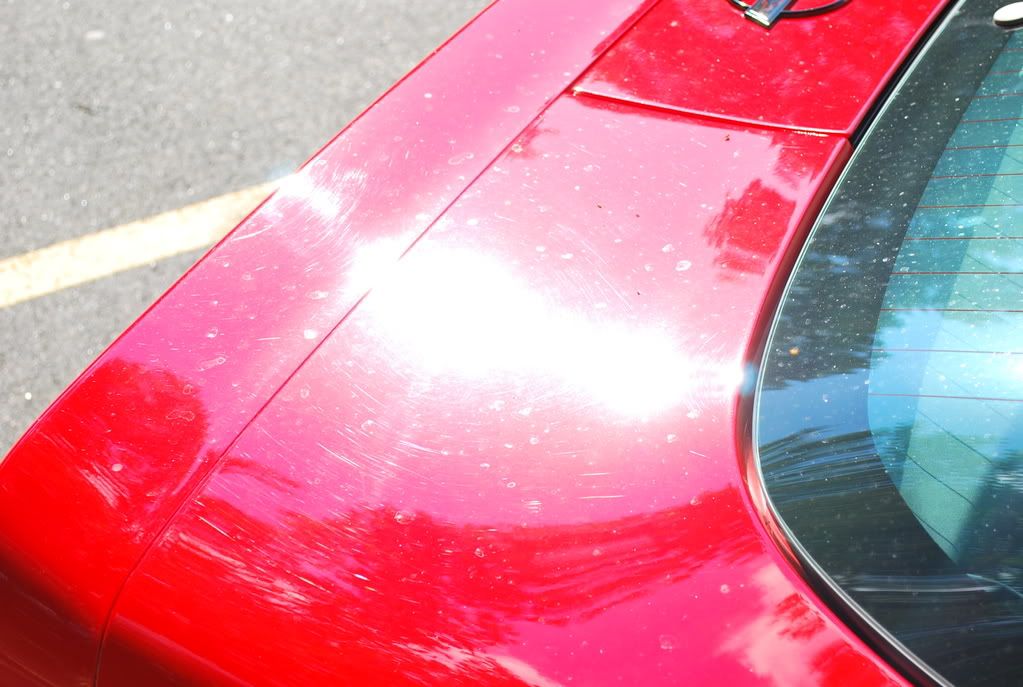 96TorchRedCorvette013.jpg