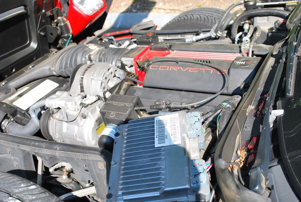 96TorchRedCorvette024.jpg