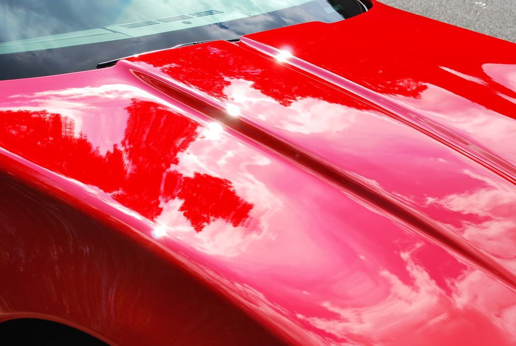 96corvette023.jpg