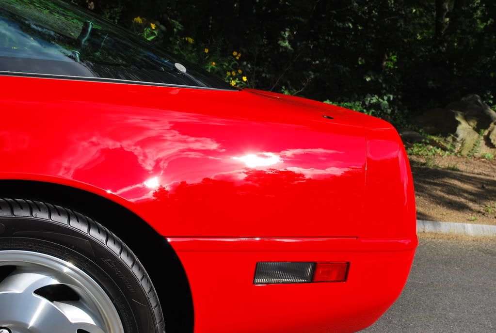 96corvette033.jpg