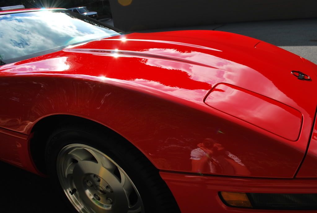 96corvette047.jpg