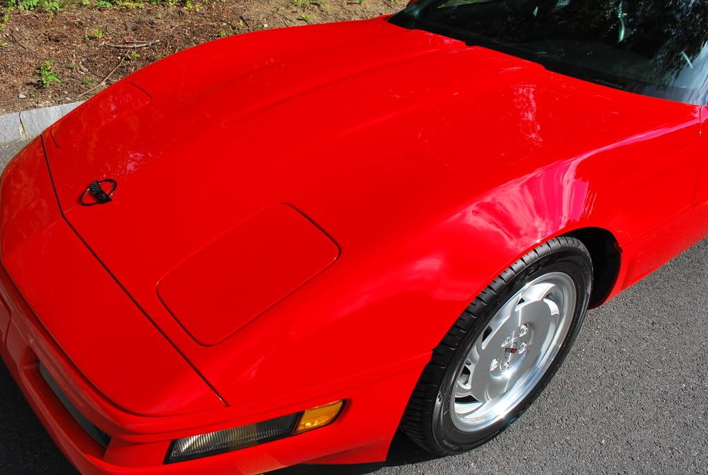 96corvette051.jpg