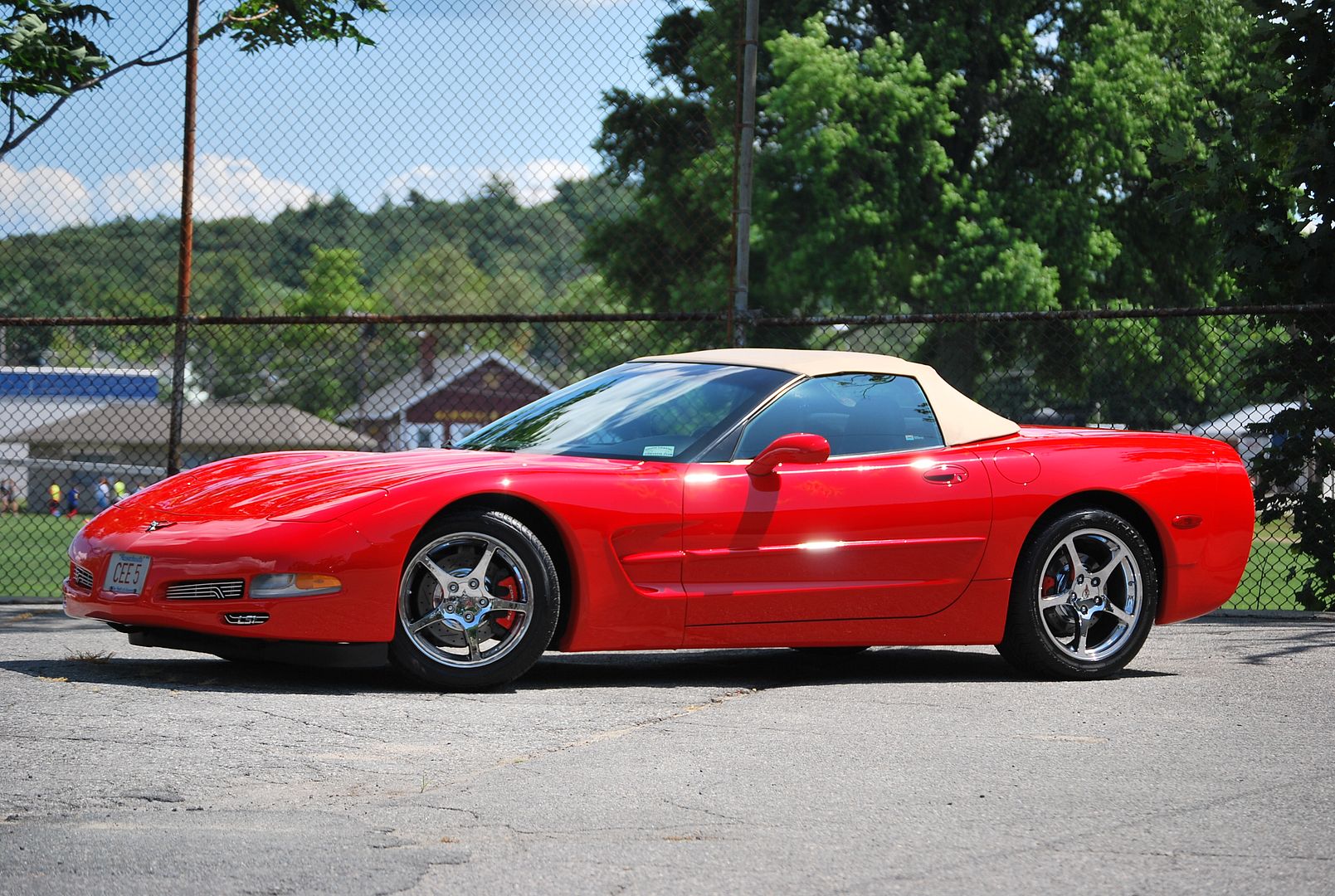 GT3-128i-RedC5104.jpg