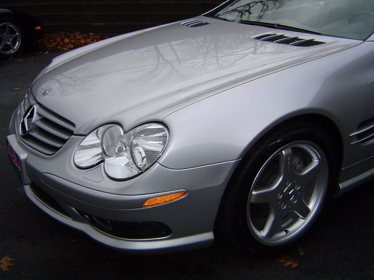 d1a47466.jpg
