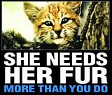 She-Needs-Her-Fur-Black-1.jpg image by eghtyslady