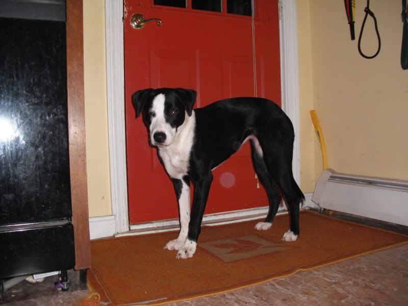 DSCF0010-1.jpg