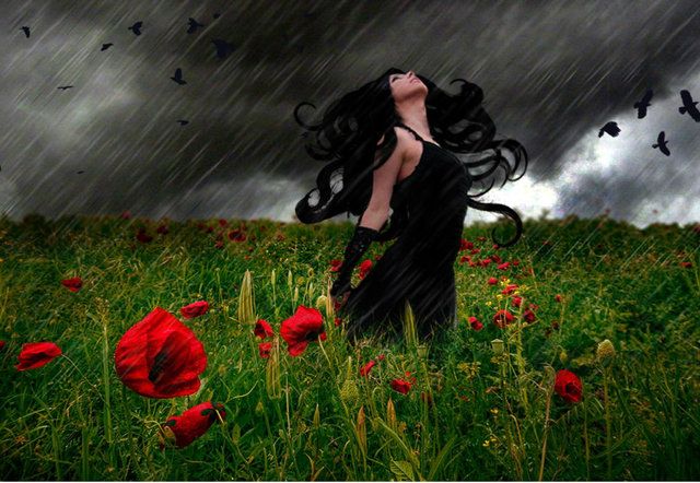 stormwitchuntappedsource2.jpg?t=1338411781
