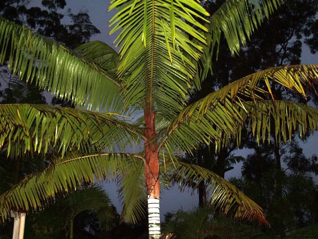 DSCF0273-1.jpg