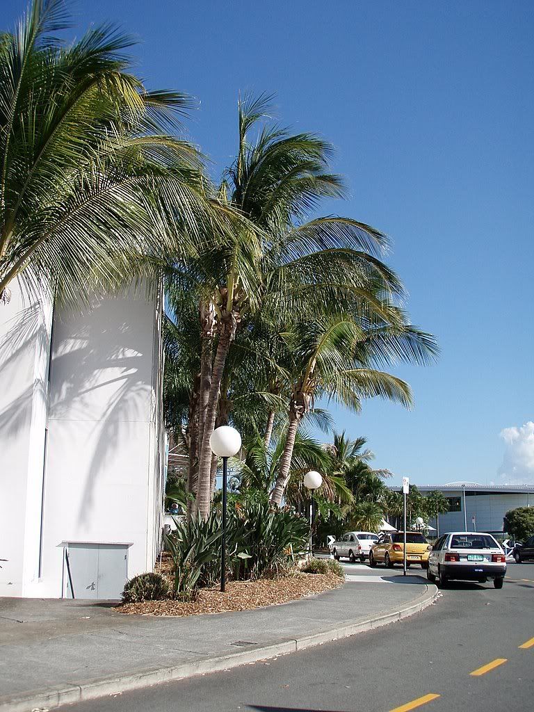 cocos.jpg