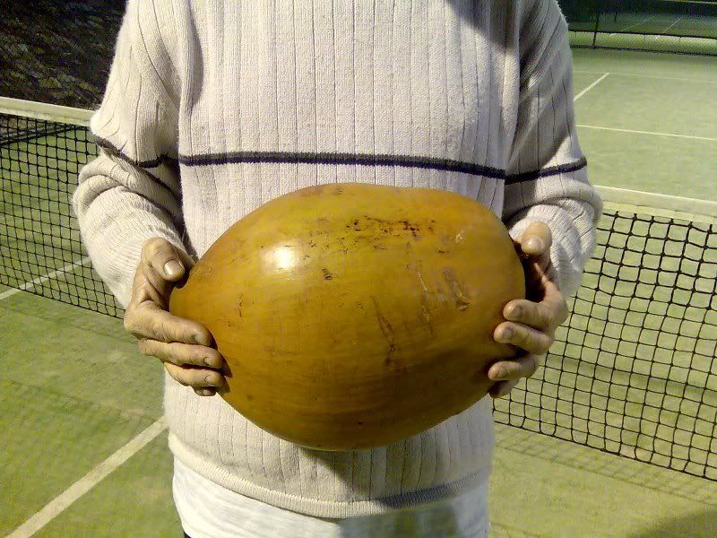coconut.jpg