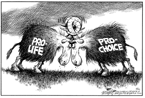 Pro Life Pro Choice 1