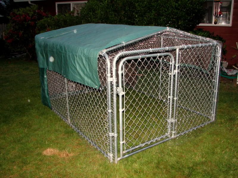  ugliest chicken coop ever lol made from an old dog kennel it will work