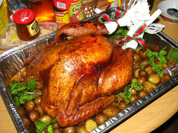 turkey2008.jpg