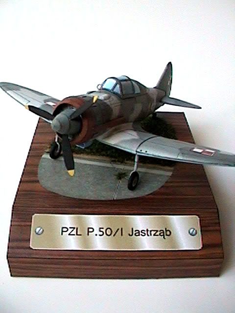 PZLP50overall.jpg