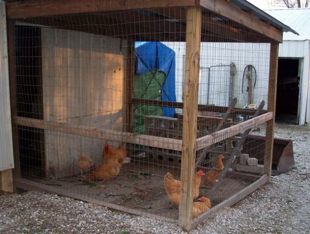 chickenpen325.jpg