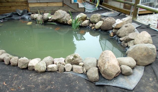 pond4.jpg