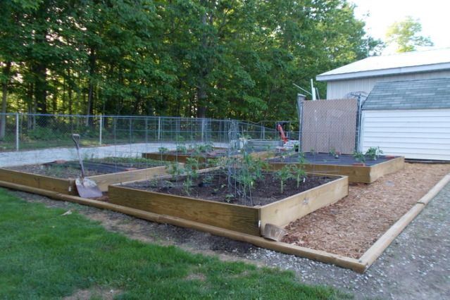 raisedbeds-1.jpg