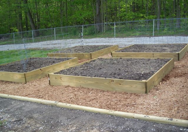 raisedbeds2.jpg