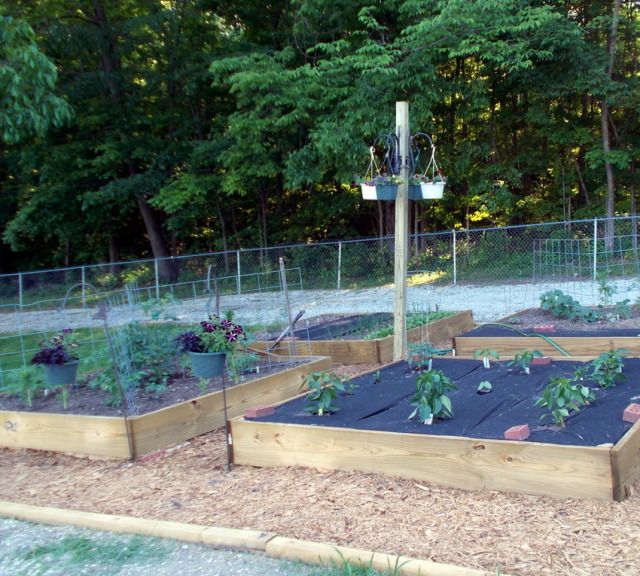 raisedbeds516-1.jpg