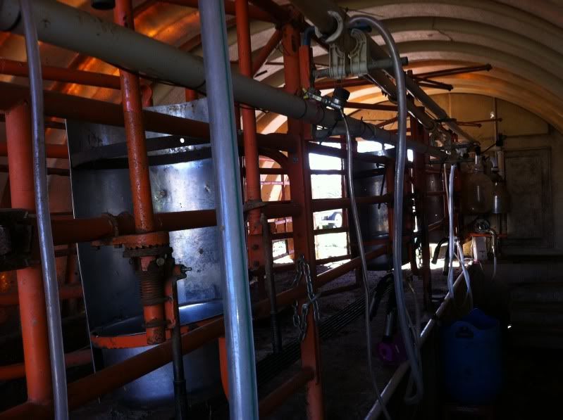 Here's my setup.  What's yours? - Cattle