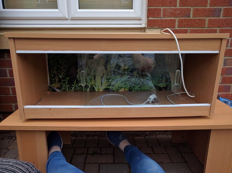 NW England Vivarium in a coffee table Reptile Forums