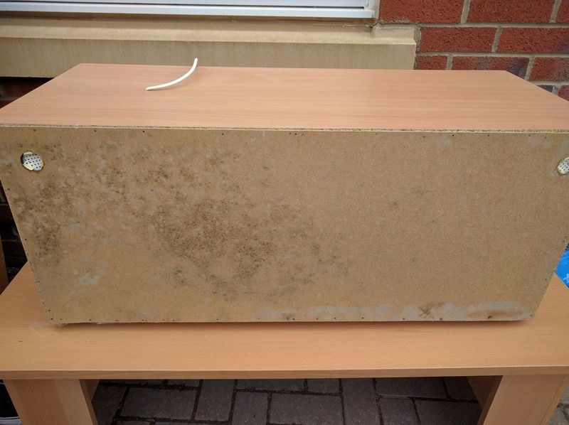 NW England Vivarium in a coffee table Reptile Forums