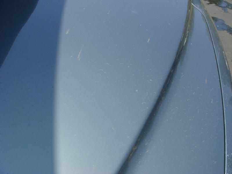 Picture005-11.jpg