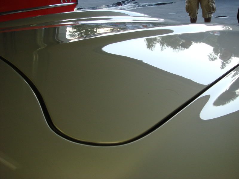 Picture008-1.jpg