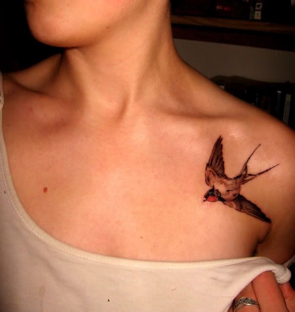 Best Tattoo Art : Swallow Bird  Picture
