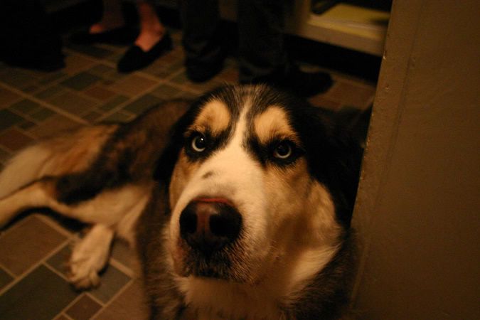 Image hosted by Photobucket.com