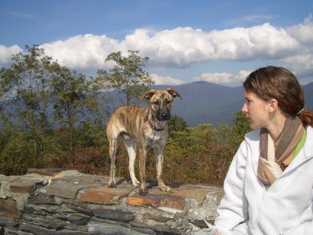 Image hosted by Photobucket.com