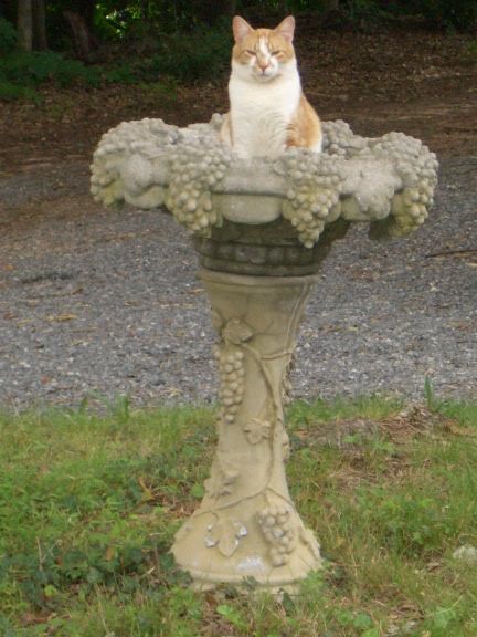 Image hosted by Photobucket.com