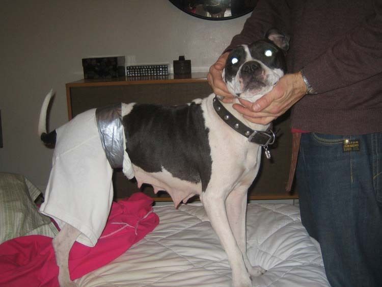 Photobucket - Video and Image Hosting