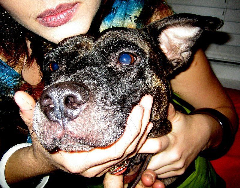 Photobucket - Video and Image Hosting