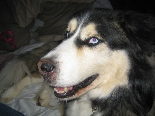 Image hosting by Photobucket