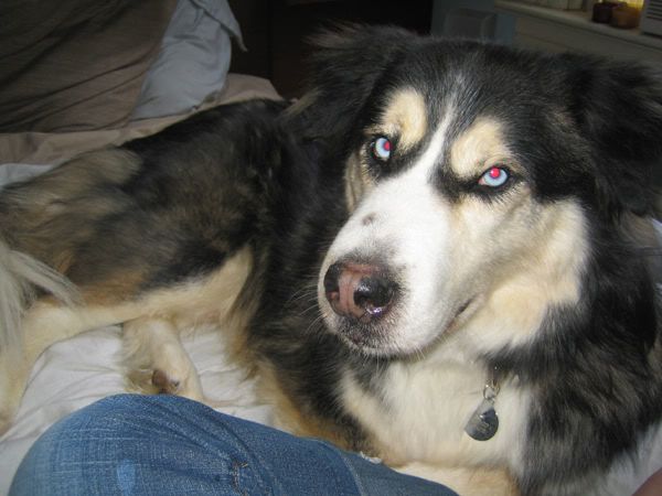 Image hosting by Photobucket