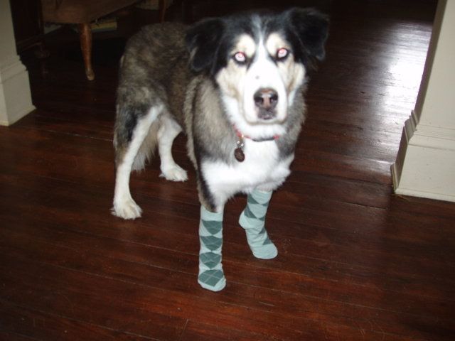 Image hosted by Photobucket.com