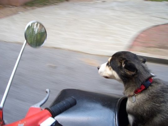 Image hosted by Photobucket.com